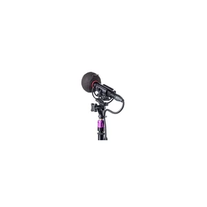 Rycote Baseball 24/25