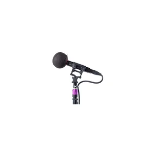 Rycote Baseball 24/25