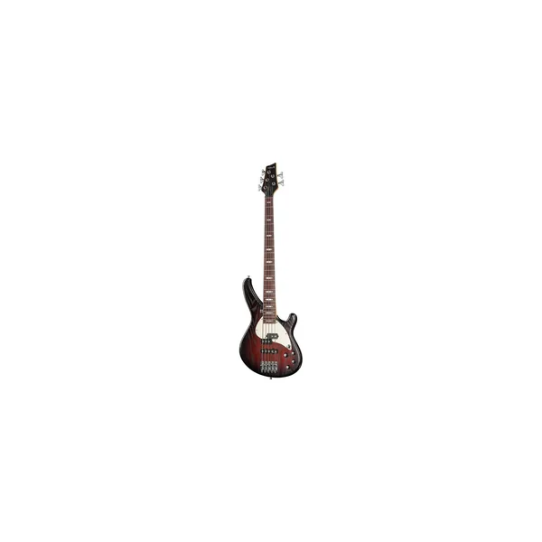 Sandberg Custom 5 Yolanda Charles Sig