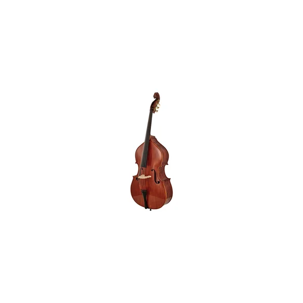 Scala Vilagio Double Bass Ceruti 5-Str. IB