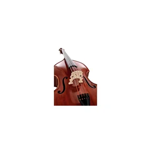 Scala Vilagio Double Bass Gamba 5-Str. IB