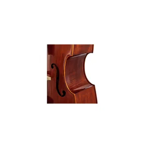 Scala Vilagio Double Bass Gamba 5-Str. IB