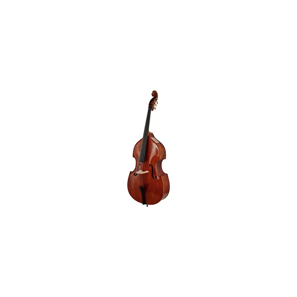 Scala Vilagio Double Bass Gamba 5-Str. IB