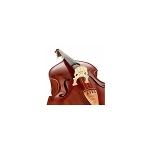 Scala Vilagio Double Bass Gamba IB