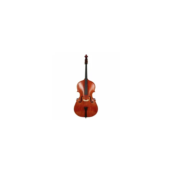 Scala Vilagio Double Bass Gofriller IB
