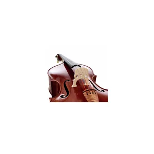 Scala Vilagio Double Bass Marcucci IB