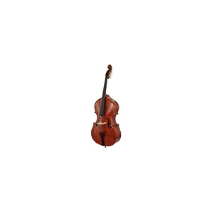 Scala Vilagio Double Bass Rogeri 5-Str. IB