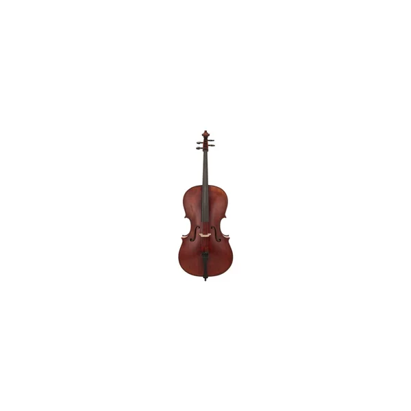 Scala Vilagio Scuola Italiana Cello Guarneri