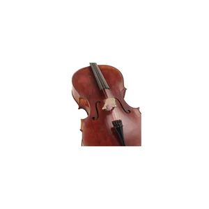 Scala Vilagio Scuola Italiana Cello Guarneri