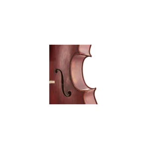 Scala Vilagio Scuola Italiana Cello Guarneri