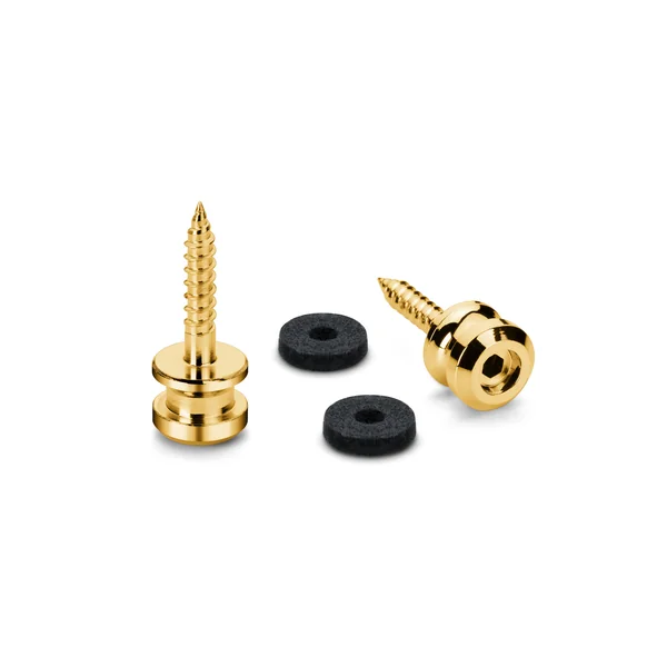 Schaller Security S-Locks Pin Set M G