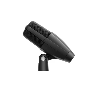 Sennheiser MD 421 Cordial Bundle