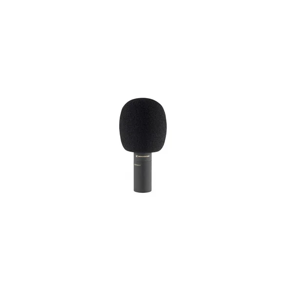 Sennheiser MZW 8000