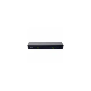 Shure BLX1288/P31 Combo K3E