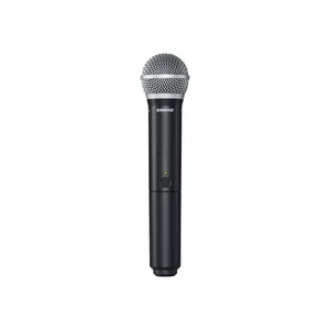 Shure BLX288/PG58 Combo H8E