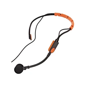 Shure GLXD14+/SM31