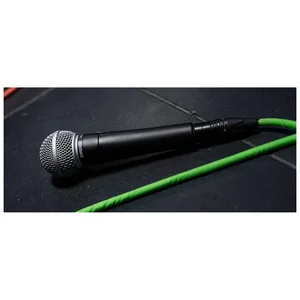 Shure GLXD24R+/SM58