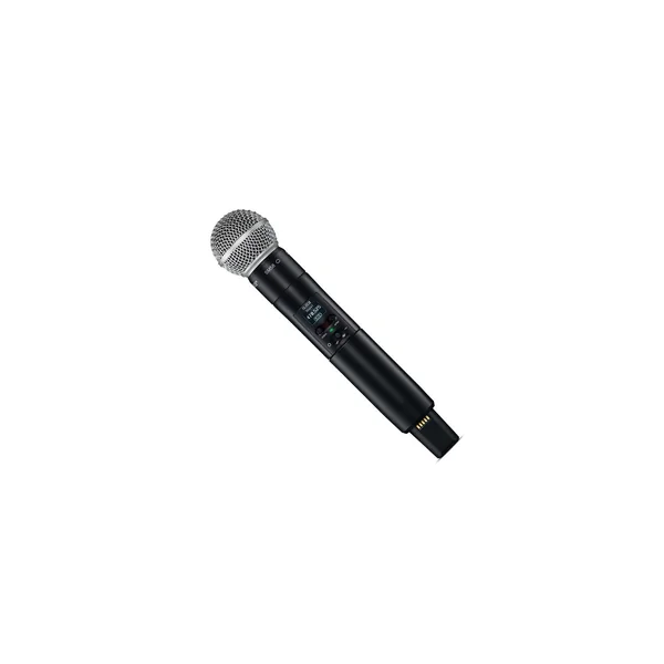 Shure SLXD2/SM58 J53