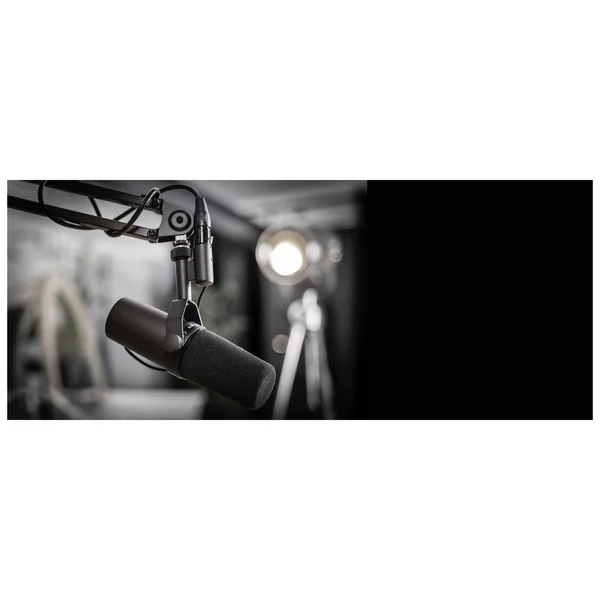Shure SM 7 B Podcast Bundle