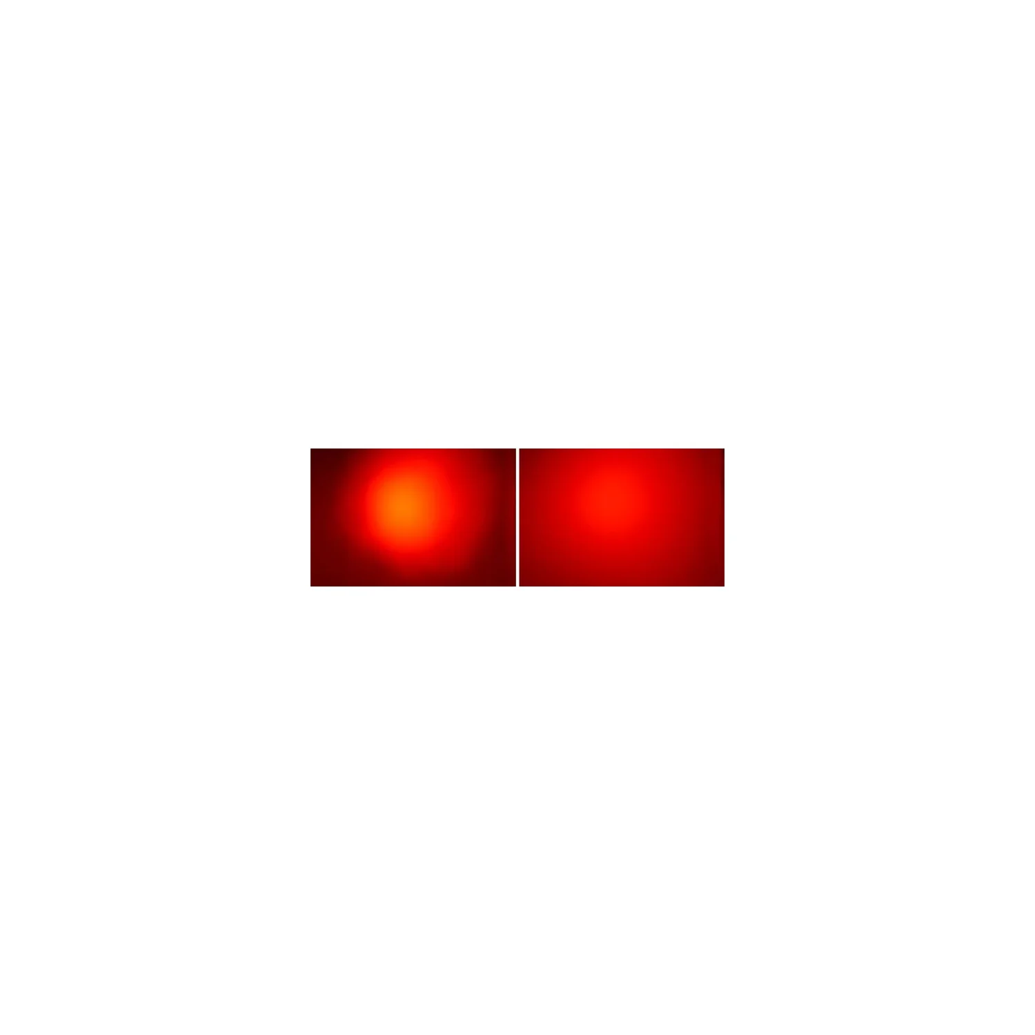 Stairville Diffusion Filter for LED PAR