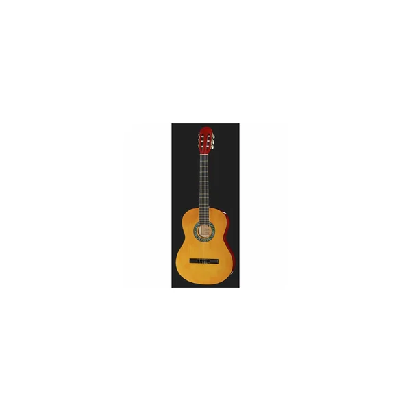Startone Concert Guitar Set 1 English
