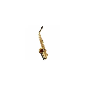 Startone SAS-75 Alto Sax Set II