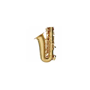 Startone SAS-75 Alto Sax Set