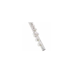 Startone SFL-55 Flute