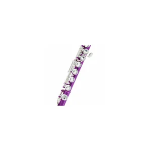 Startone SFL-55 PK Flute Pink