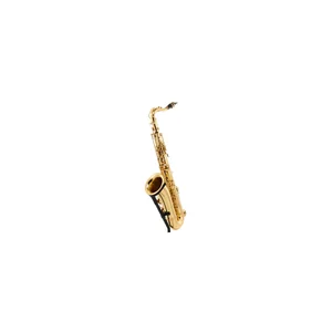 Startone STS-75 Tenor Sax Set