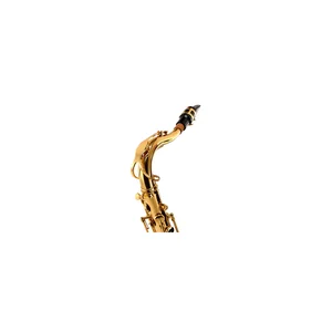 Startone STS-75 Tenor Sax Set