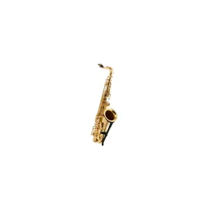 Startone STS-75 Tenor Sax