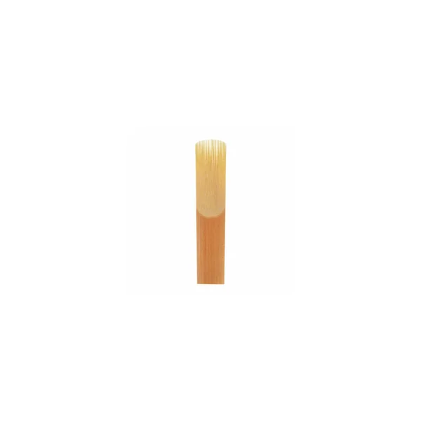 Startone Tenor Saxophone Reed 2.5