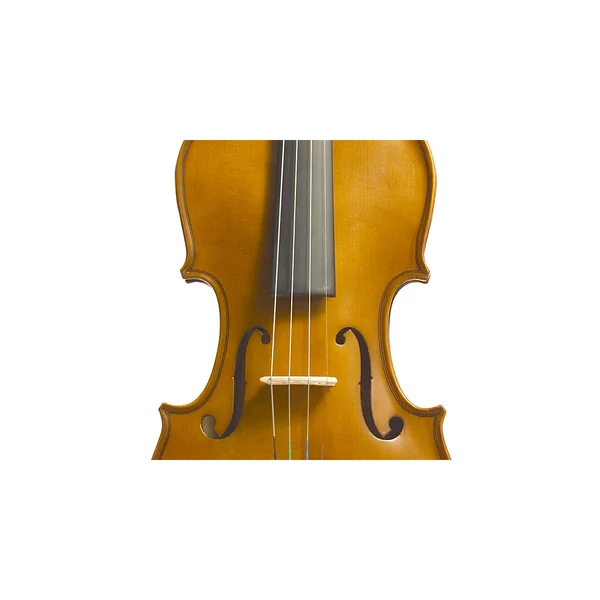 Stentor SR1400 Violinset 1/10