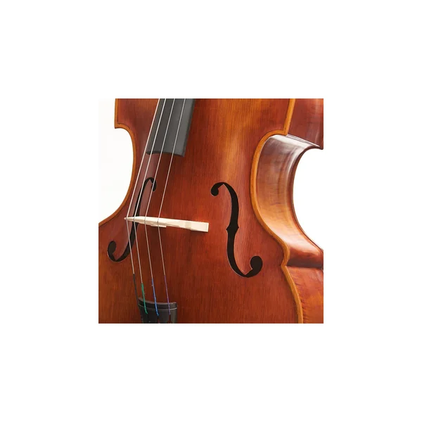 Stentor SR1438 Double Bass 3/4