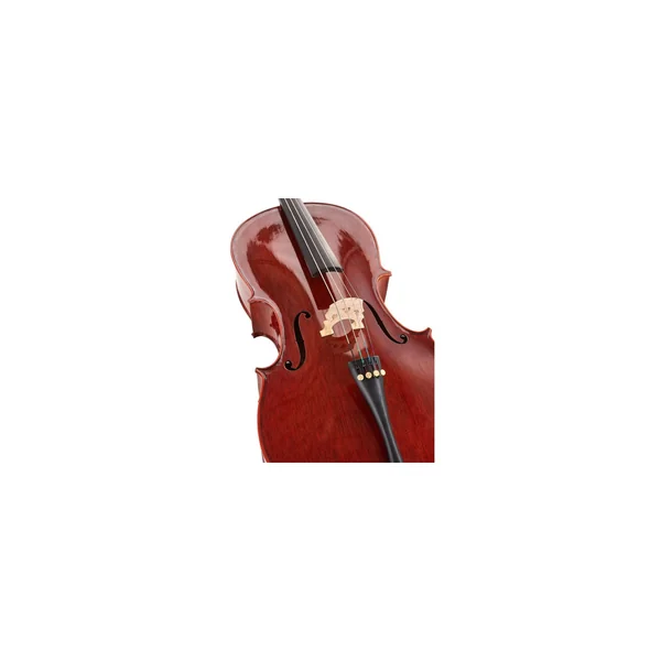 Stentor SR1586 Cello Conservatoire 1/2