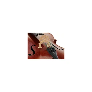 Stentor SR1596 Cello Arcadia 4/4