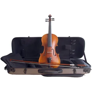 Stentor SR1880 Violin Arcadia 4/4