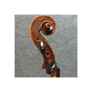 Stentor SR1884 Violin Arcadia Antik