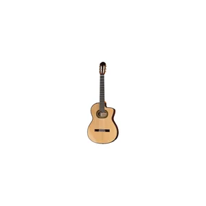 Takamine DH90 w/Softcase