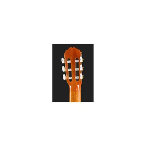 Takamine DH90 w/Softcase