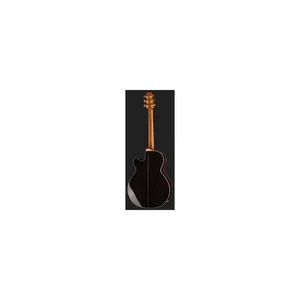 Takamine DSF48C