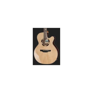 Takamine DSF48C