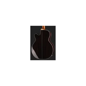Takamine DSF48C