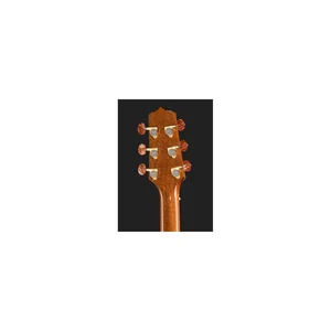 Takamine DSF48C