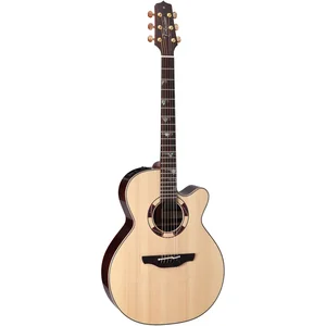 Takamine DSF48C