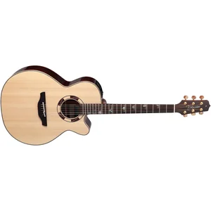 Takamine DSF48C