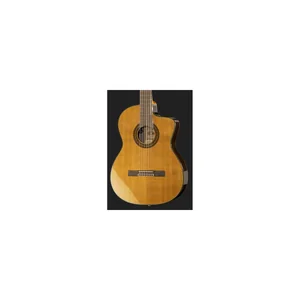 Takamine EC132SC w/Softcase
