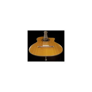 Takamine EC132SC w/Softcase