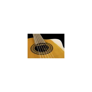 Takamine EC132SC w/Softcase